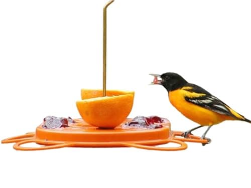 Birds Choice Oriolefest Oriole Feeder