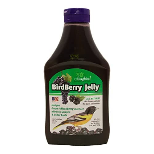 Songbird Essentials Bird Berry Jelly, 20 oz
