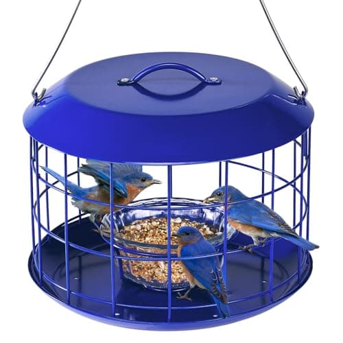 Kingsyard Hanging Bluebird Feeder