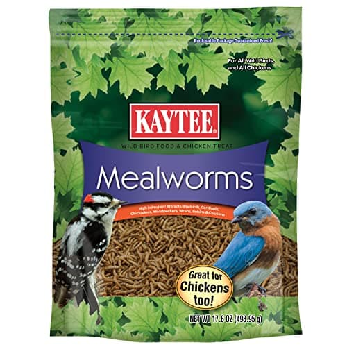 Kaytee Dried Mealworms
