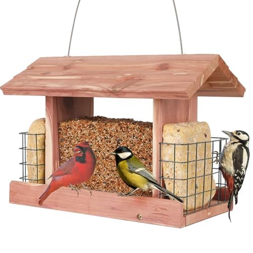 Solution4Patio Cedar Hopper Feeder with Dual Suet Holders