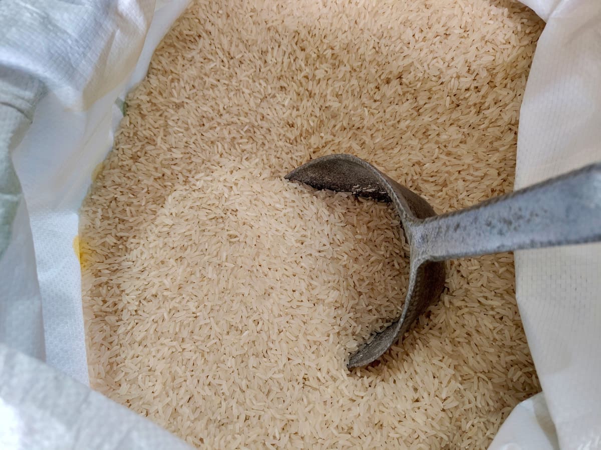A detailed view of raw rice in a white sack with a metal scoop, perfect for food industry content