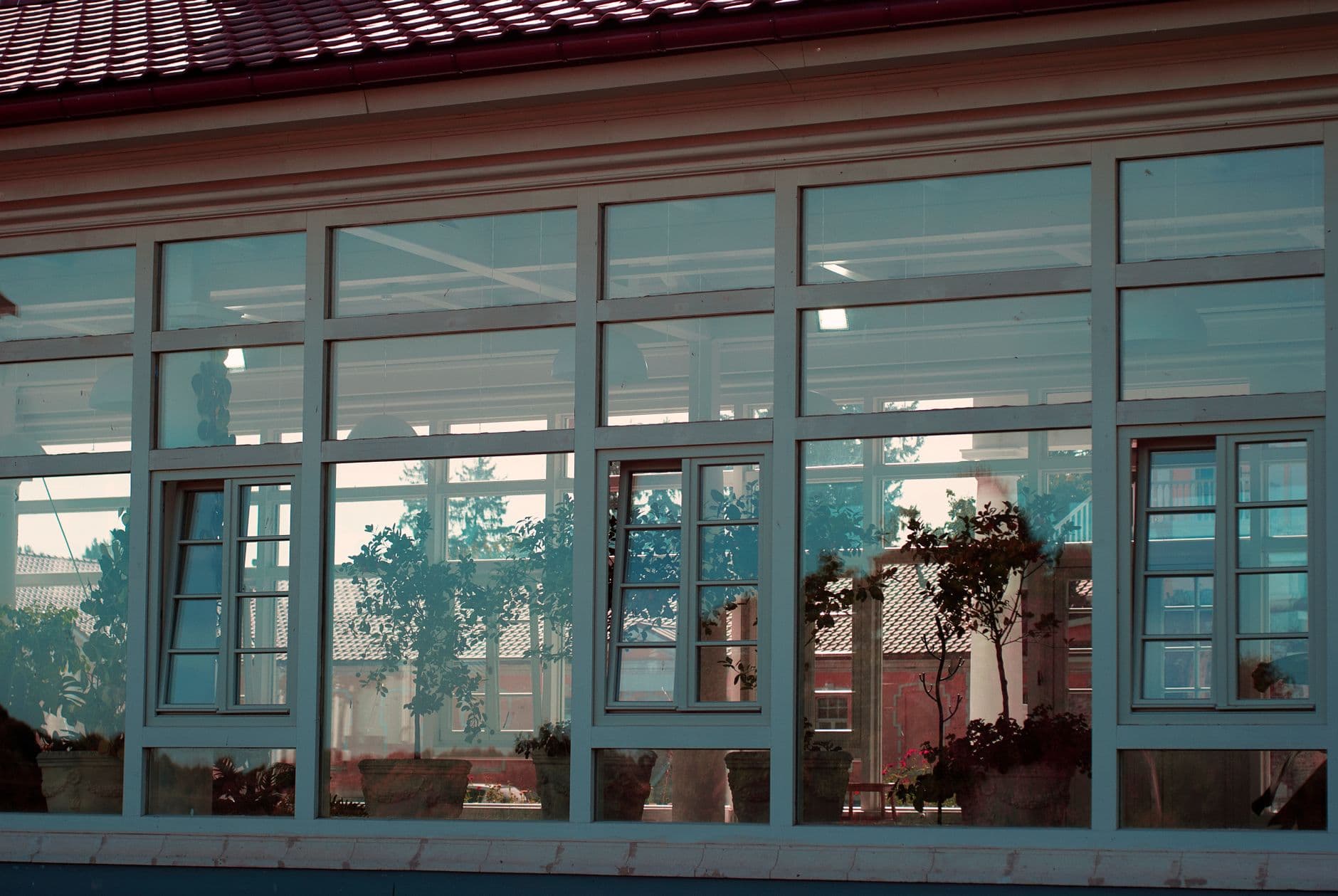 Large glass windows reflecting a garden and plants