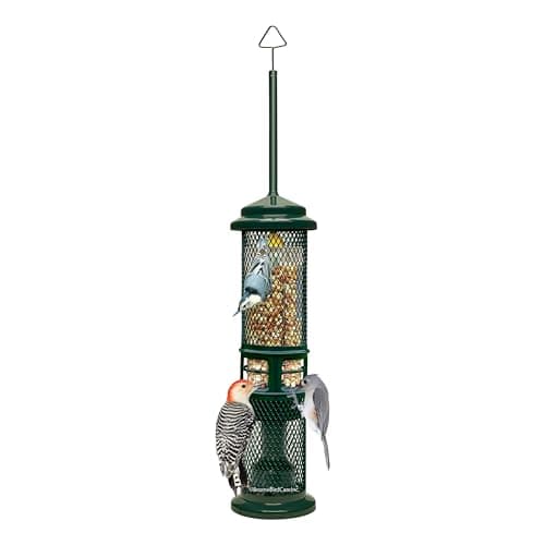 Brome Squirrel Buster Nut Feeder