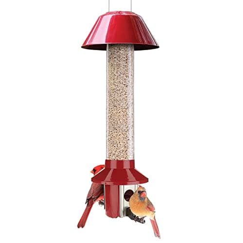 Roamwild PestOff Cardinal Feeder (Sunflower Heart Version)