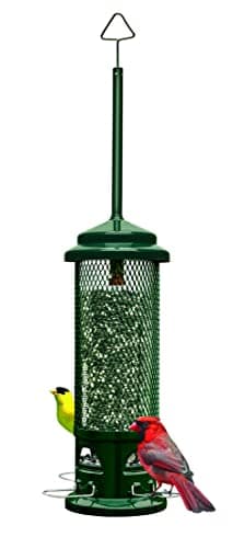 Brome Squirrel Buster Legacy
