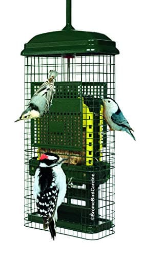 Brome Squirrel Buster Suet Feeder (model 1106)