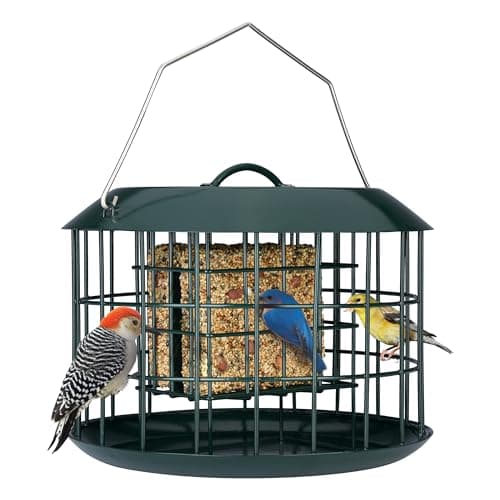 Kingsyard Caged Suet Feeder (KYBF123CP01)
