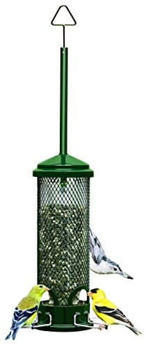 Brome Squirrel Buster Mini