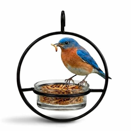 Mosaic Birds Hummble Hanging Glass Mealworm Feeder
