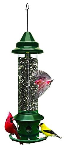 Brome Squirrel Buster Plus