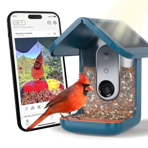 Bird Buddy Pro Solar Smart Bird Feeder