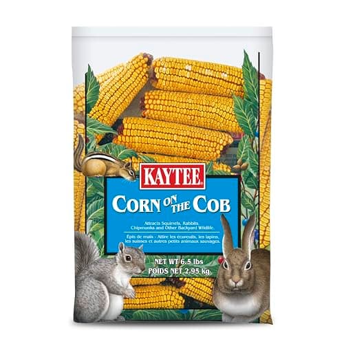 Kaytee Corn on the Cob for Wildlife Feeding, 6.5 lb