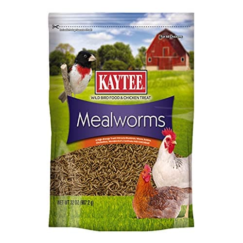 Kaytee Mealworms, 2 lb
