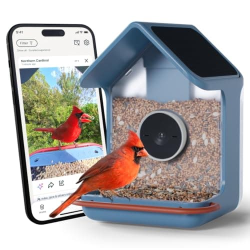 Bird Buddy Home Smart Bird Feeder